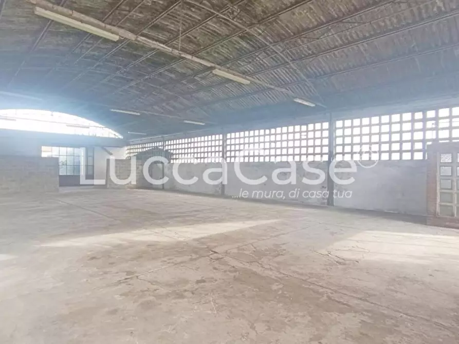Immagine 2 di Magazzino in affitto  a Capannori