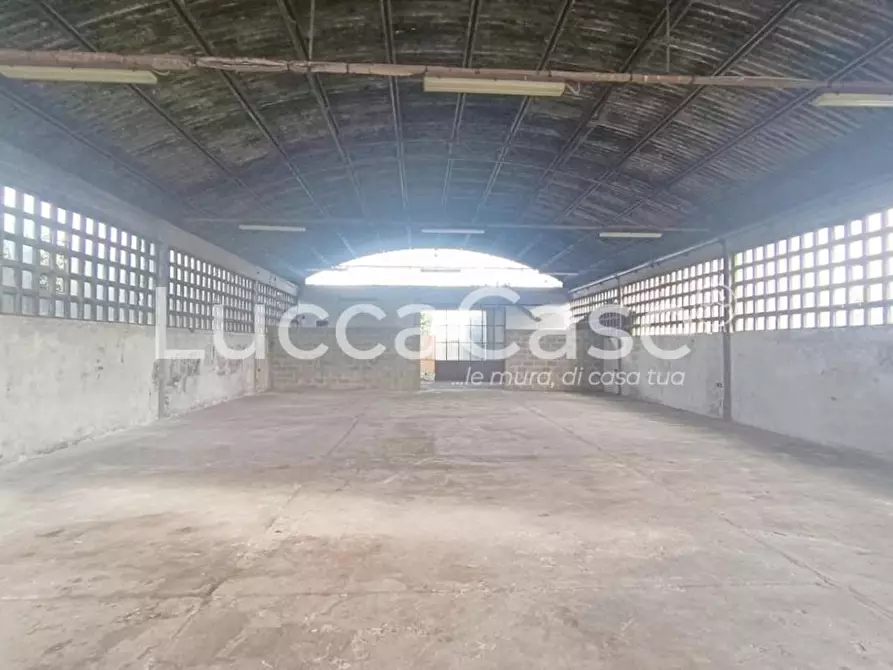 Immagine 3 di Magazzino in affitto  a Capannori