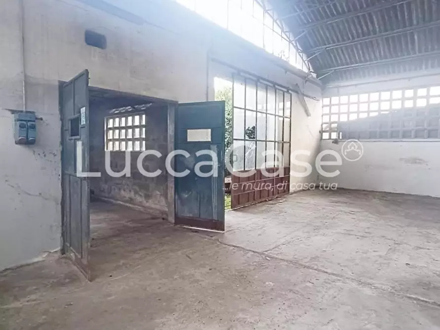 Immagine 5 di Magazzino in affitto  a Capannori