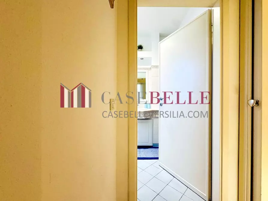 Immagine 33 di Casa indipendente in affitto  a Forte Dei Marmi