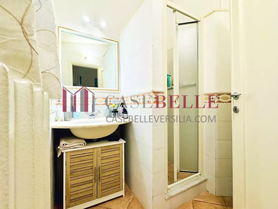 Immagine 24 di Casa indipendente in affitto  a Forte Dei Marmi