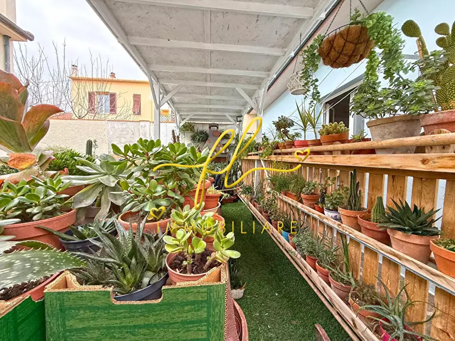 Immagine 26 di Appartamento in vendita  a Cecina