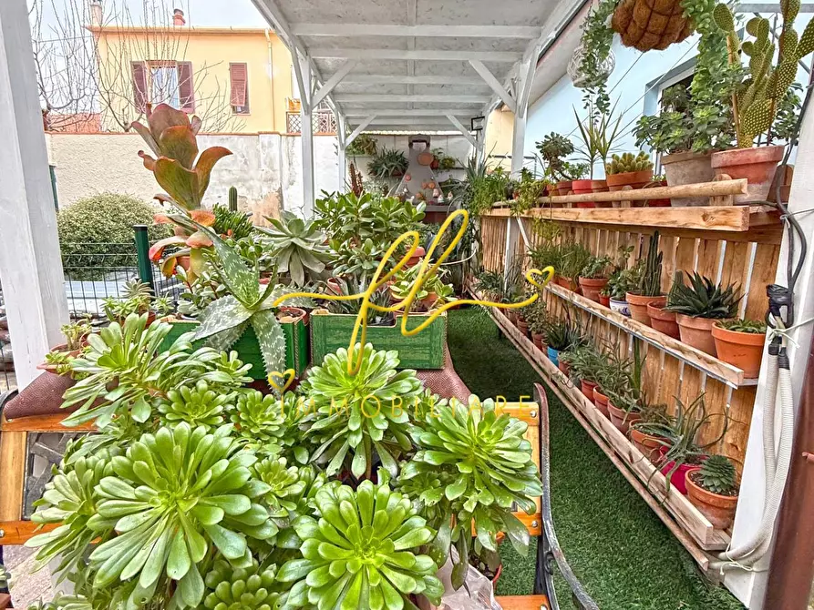 Immagine 23 di Appartamento in vendita  a Cecina