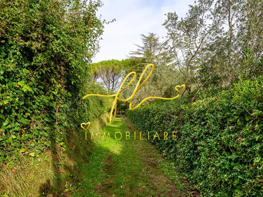 Immagine 72 di Villa in vendita  a Collesalvetti