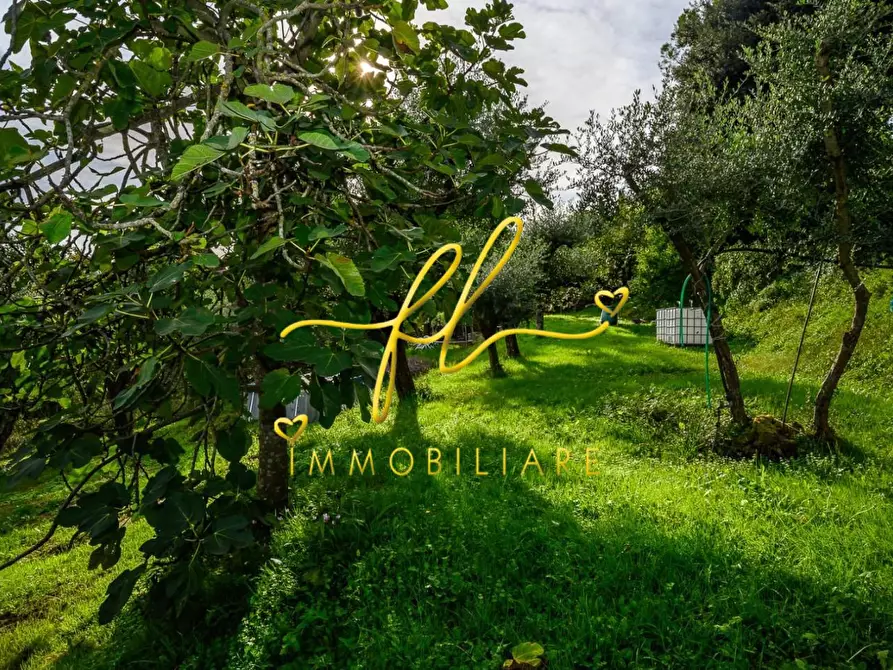 Immagine 70 di Villa in vendita  a Collesalvetti