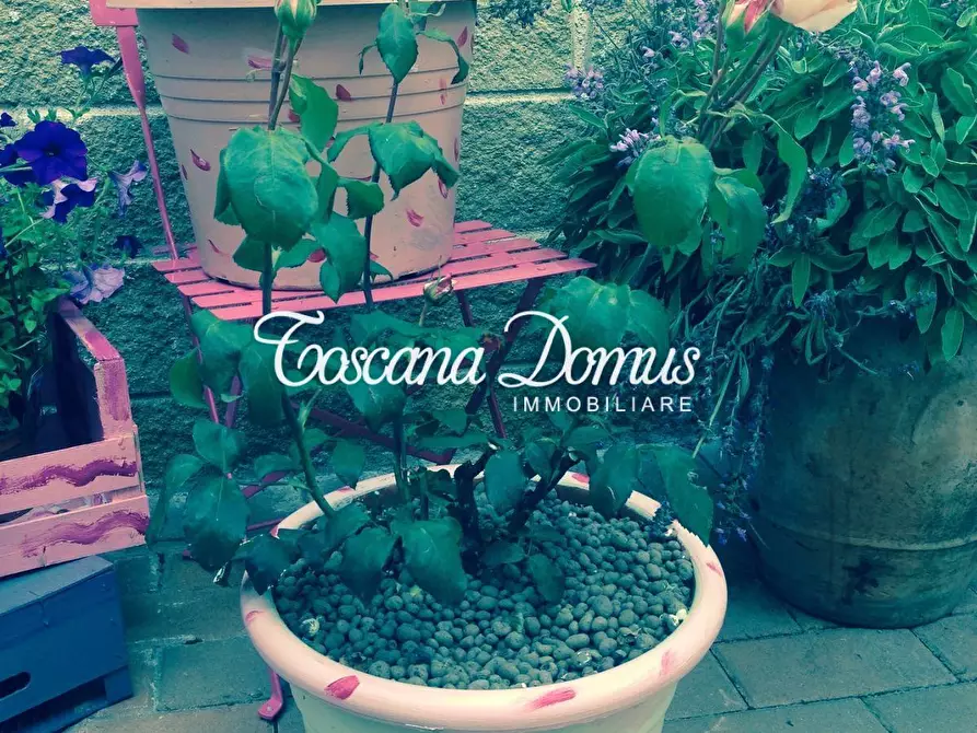 Immagine 11 di Appartamento in vendita  a Castelnuovo Berardenga