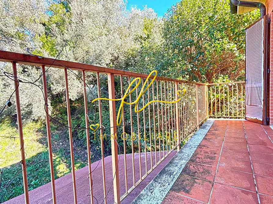 Immagine 11 di Appartamento in vendita  a Castagneto Carducci