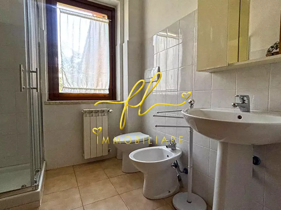 Immagine 17 di Appartamento in vendita  a Castagneto Carducci