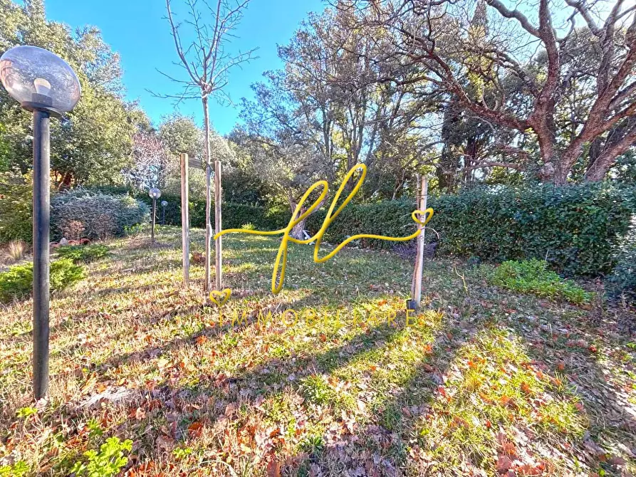 Immagine 27 di Appartamento in vendita  a Castagneto Carducci