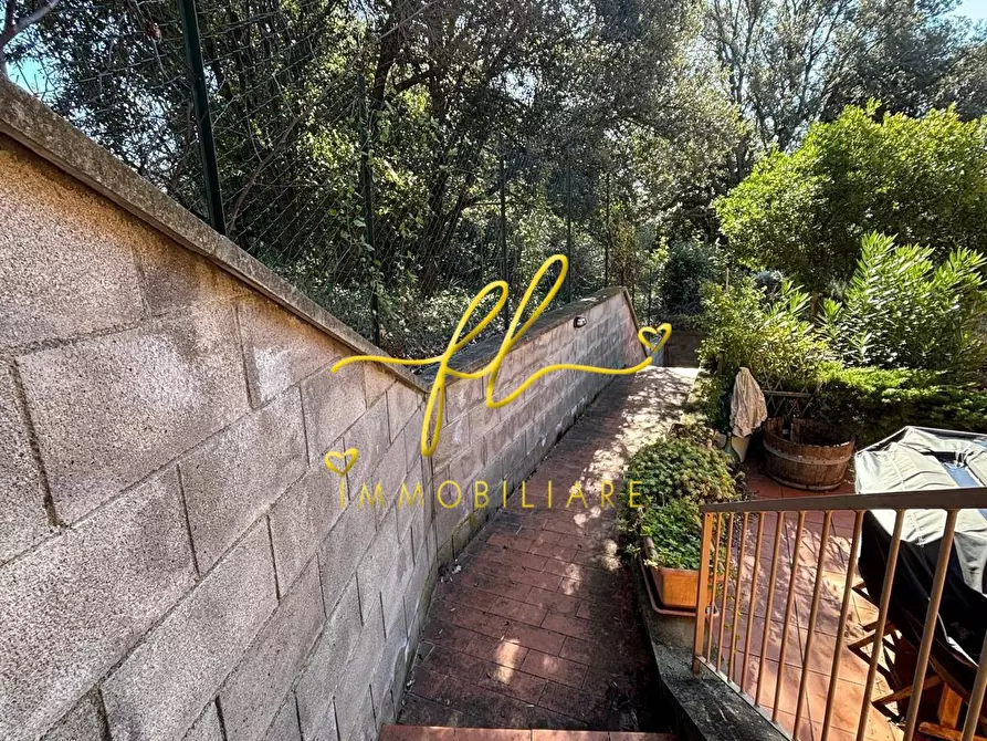 Immagine 28 di Appartamento in vendita  a Castagneto Carducci