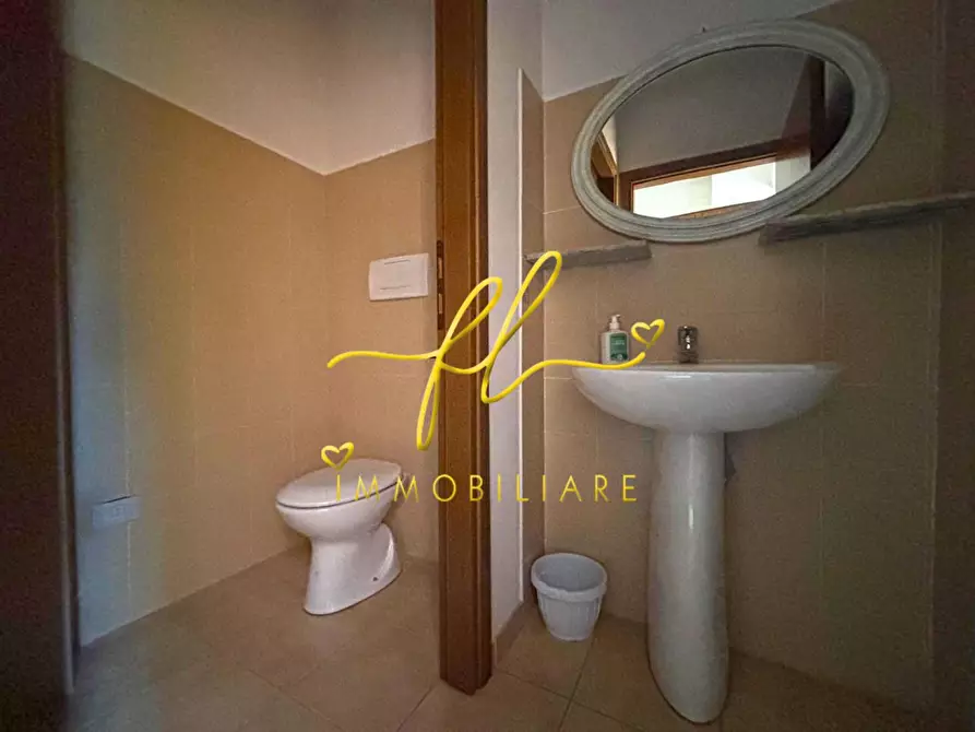 Immagine 20 di Appartamento in vendita  a Castagneto Carducci