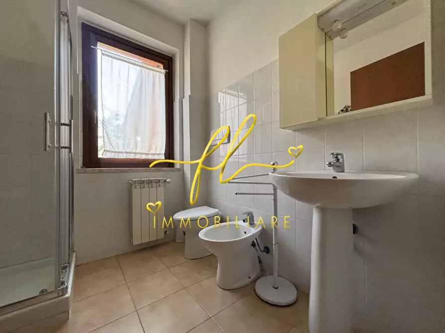 Immagine 19 di Appartamento in vendita  a Castagneto Carducci