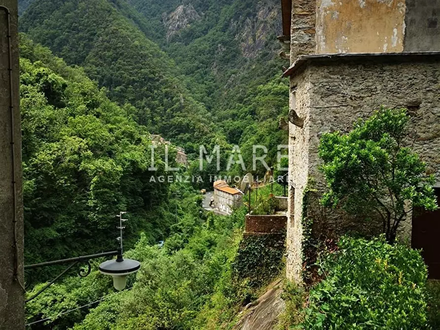 Immagine 2 di Terratetto in vendita  a Massa