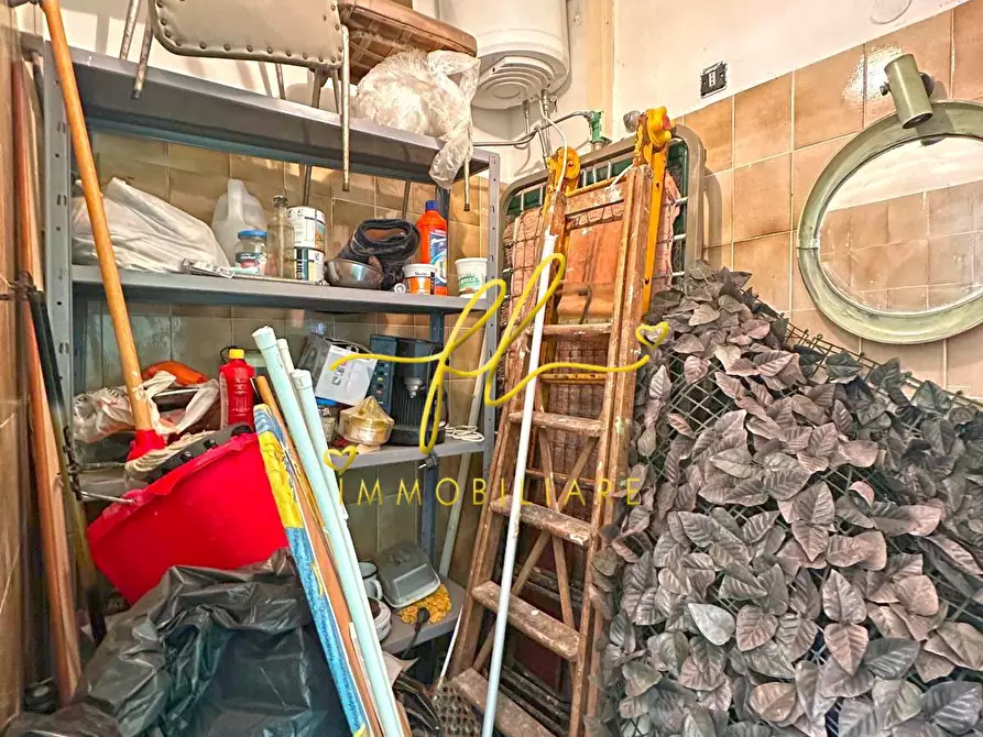 Immagine 17 di Appartamento in vendita  a Cecina