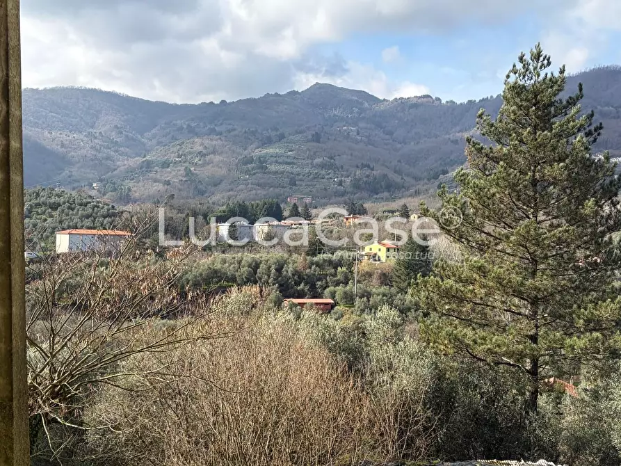 Immagine 17 di Terratetto in vendita  a Borgo A Mozzano