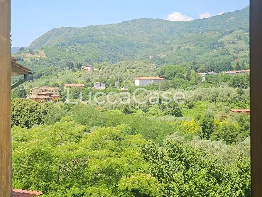 Immagine 4 di Terratetto in vendita  a Borgo A Mozzano