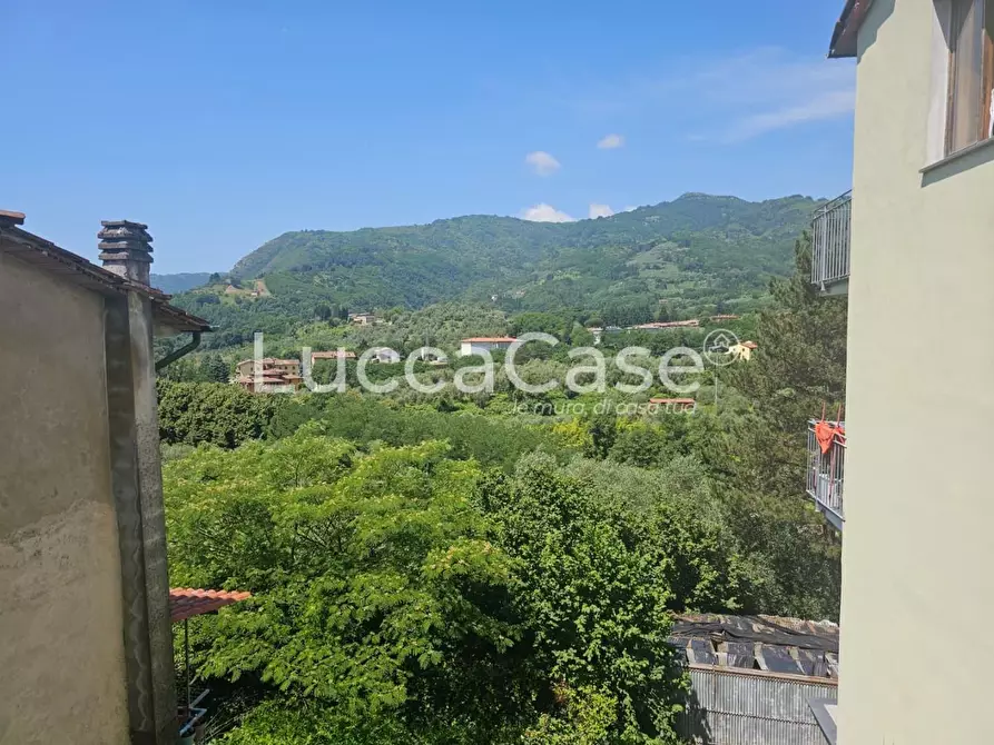 Immagine 11 di Terratetto in vendita  a Borgo A Mozzano