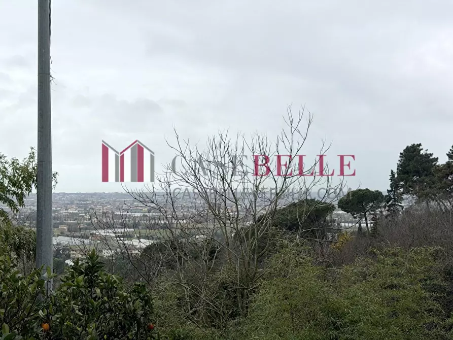 Immagine 39 di Casa indipendente in vendita  a Massarosa