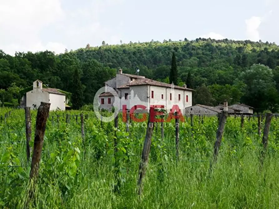 Immagine 7 di Casa colonica in vendita  a Colle Di Val D'elsa