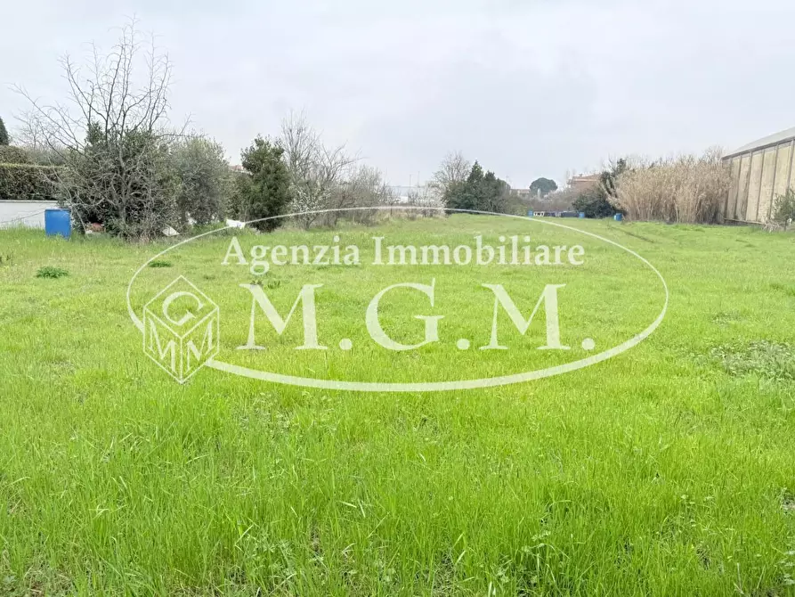 Immagine 2 di Terreno agricolo in vendita  a Santa Croce Sull'arno