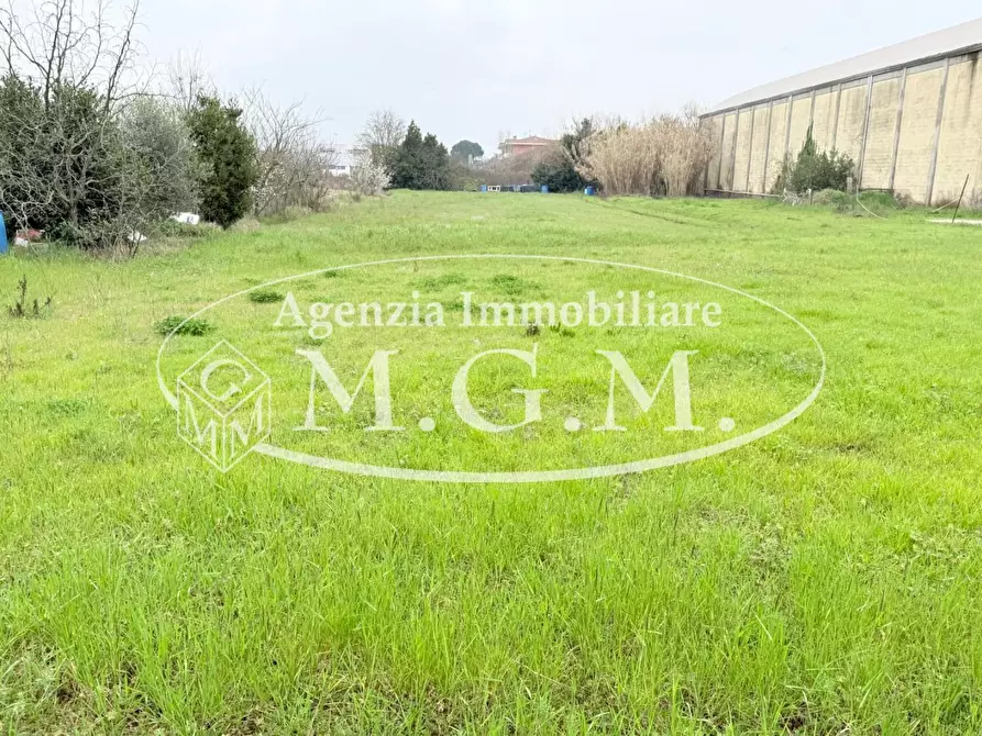 Immagine 3 di Terreno agricolo in vendita  a Santa Croce Sull'arno