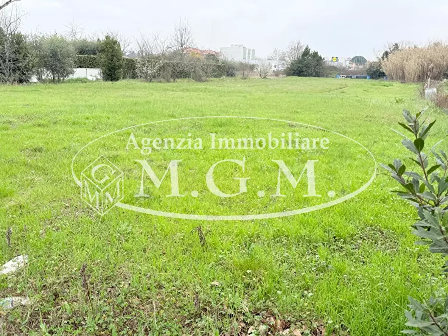 Immagine 4 di Terreno agricolo in vendita  a Santa Croce Sull'arno