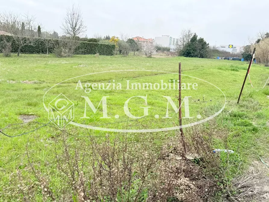 Immagine 5 di Terreno agricolo in vendita  a Santa Croce Sull'arno