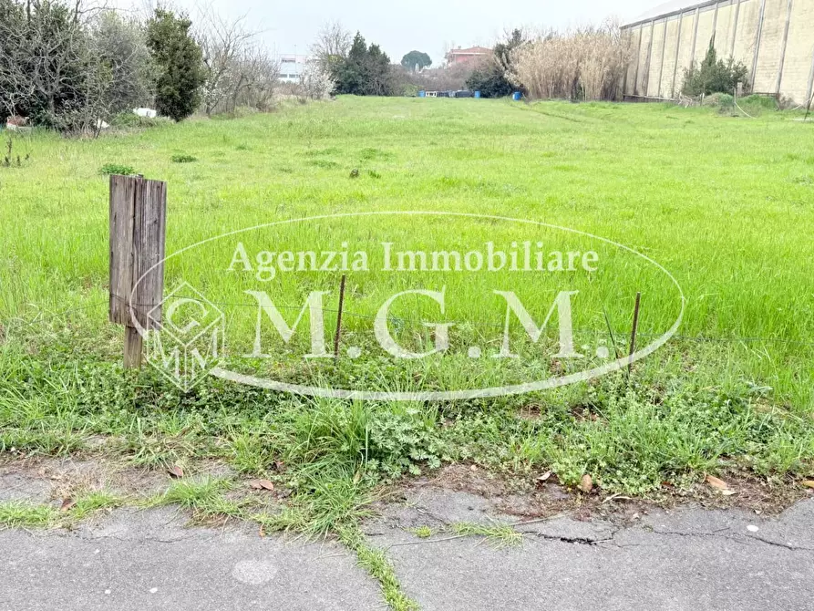 Immagine 6 di Terreno agricolo in vendita  a Santa Croce Sull'arno