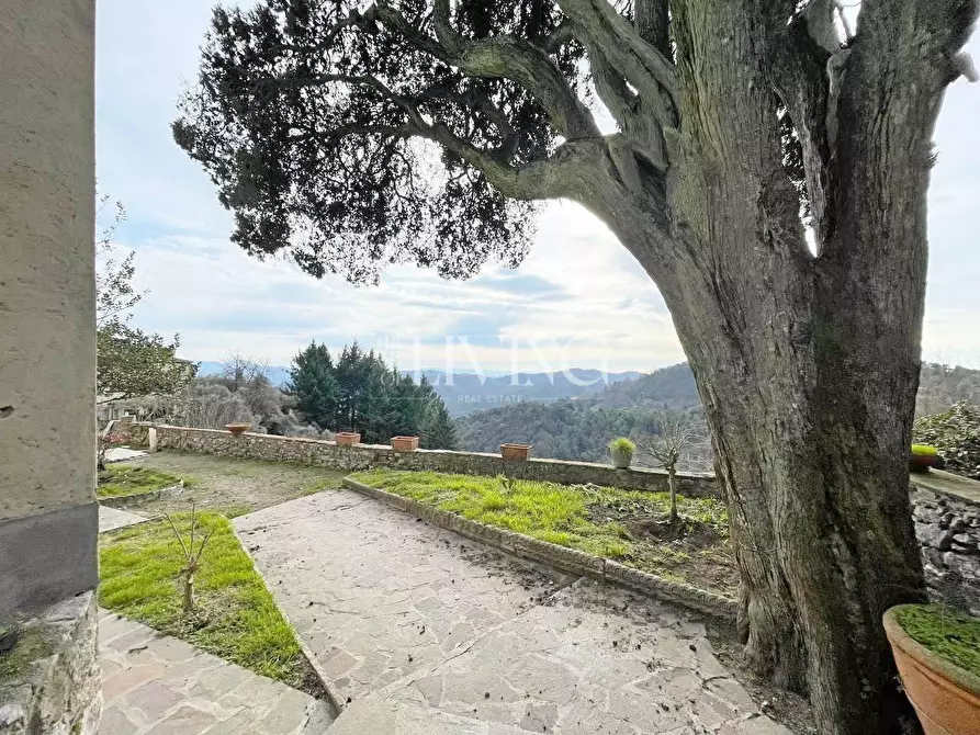 Immagine 5 di Casa semindipendente in vendita  a Camaiore