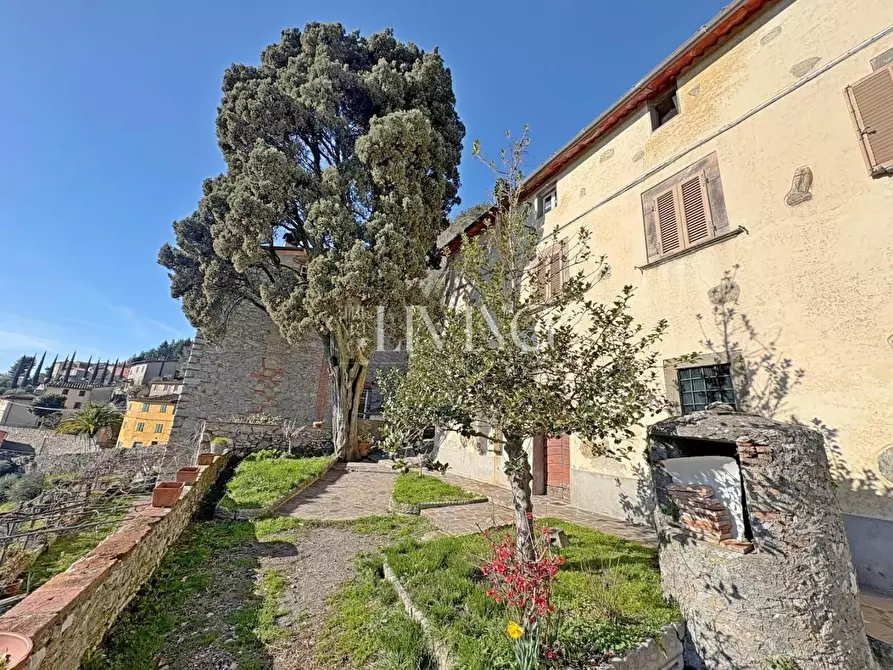Immagine 6 di Casa semindipendente in vendita  a Camaiore