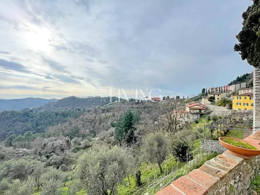 Immagine 2 di Casa semindipendente in vendita  a Camaiore