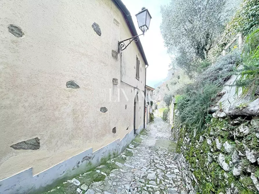 Immagine 15 di Casa semindipendente in vendita  a Camaiore