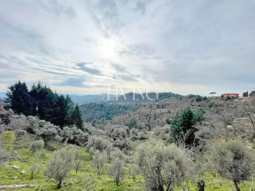 Immagine 4 di Casa semindipendente in vendita  a Camaiore
