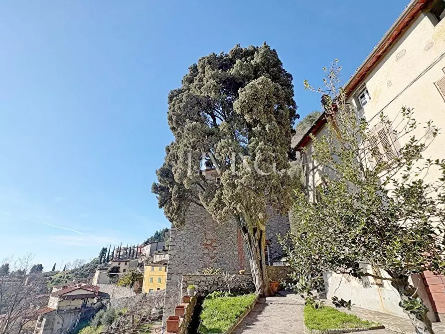 Immagine 12 di Casa semindipendente in vendita  a Camaiore