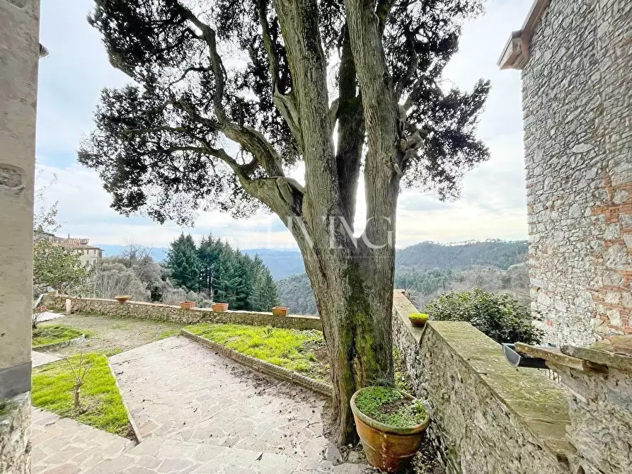 Immagine 10 di Casa semindipendente in vendita  a Camaiore