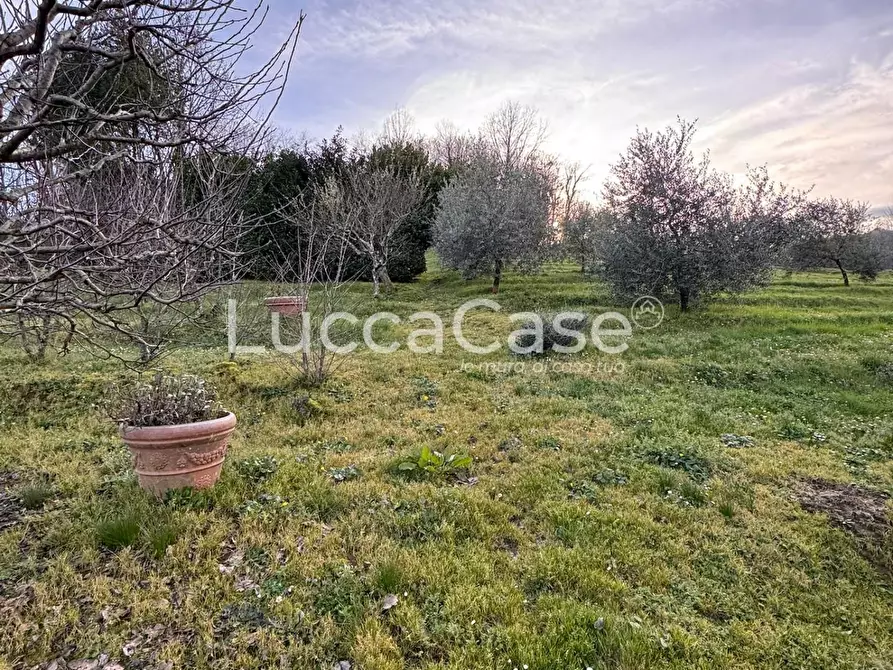 Immagine 43 di Casa semindipendente in vendita  a Borgo A Mozzano