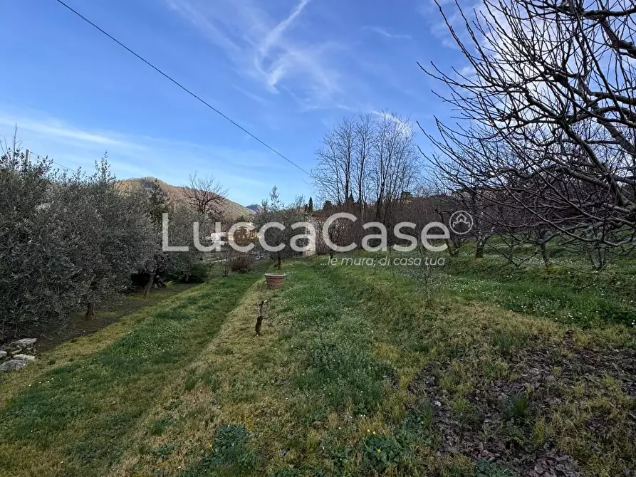 Immagine 41 di Casa semindipendente in vendita  a Borgo A Mozzano