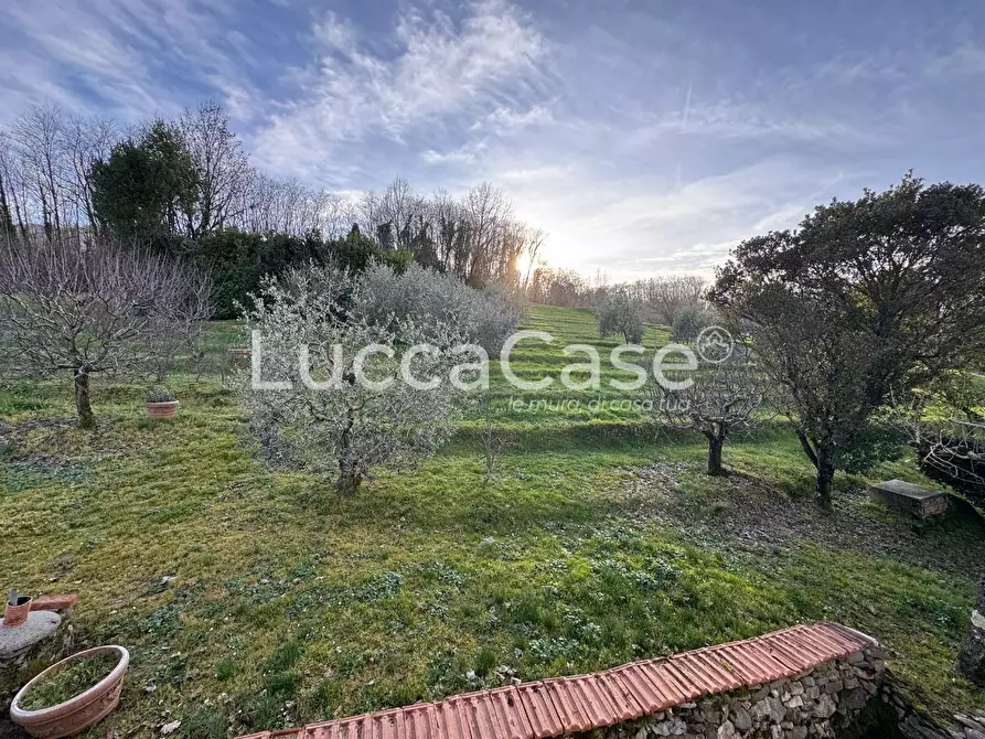 Immagine 39 di Casa semindipendente in vendita  a Borgo A Mozzano
