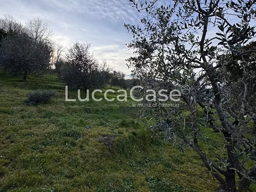 Immagine 42 di Casa semindipendente in vendita  a Borgo A Mozzano