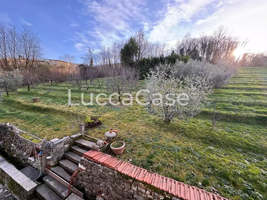 Immagine 38 di Casa semindipendente in vendita  a Borgo A Mozzano