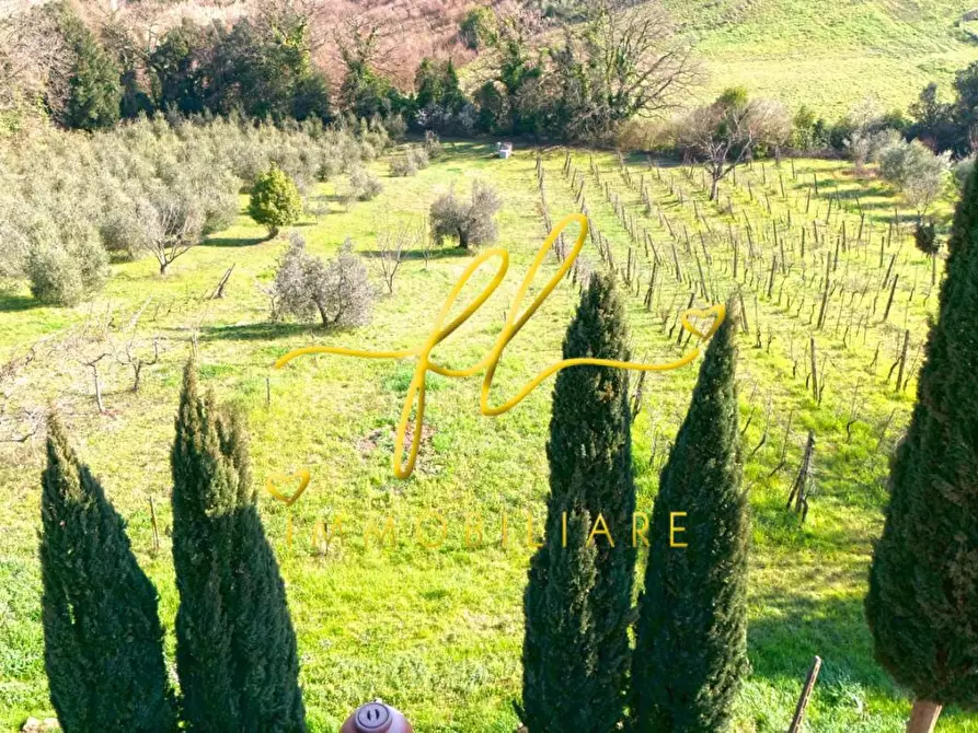 Immagine 40 di Casa colonica in vendita  a Rosignano Marittimo