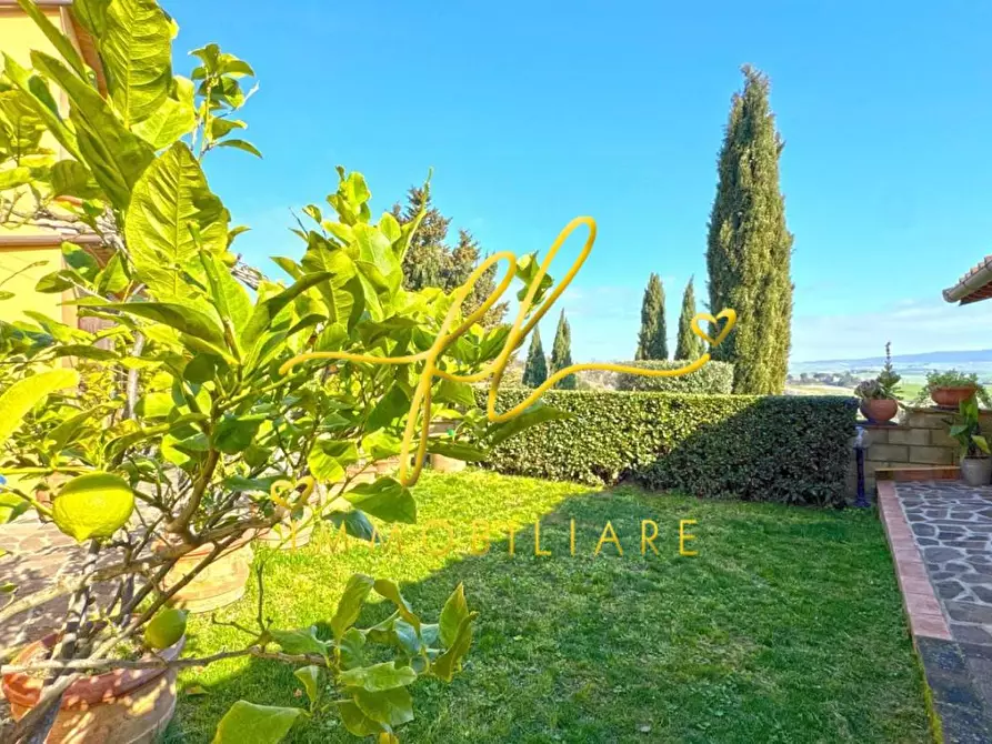 Immagine 3 di Casa colonica in vendita  a Rosignano Marittimo