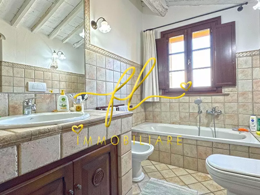 Immagine 30 di Casa colonica in vendita  a Rosignano Marittimo