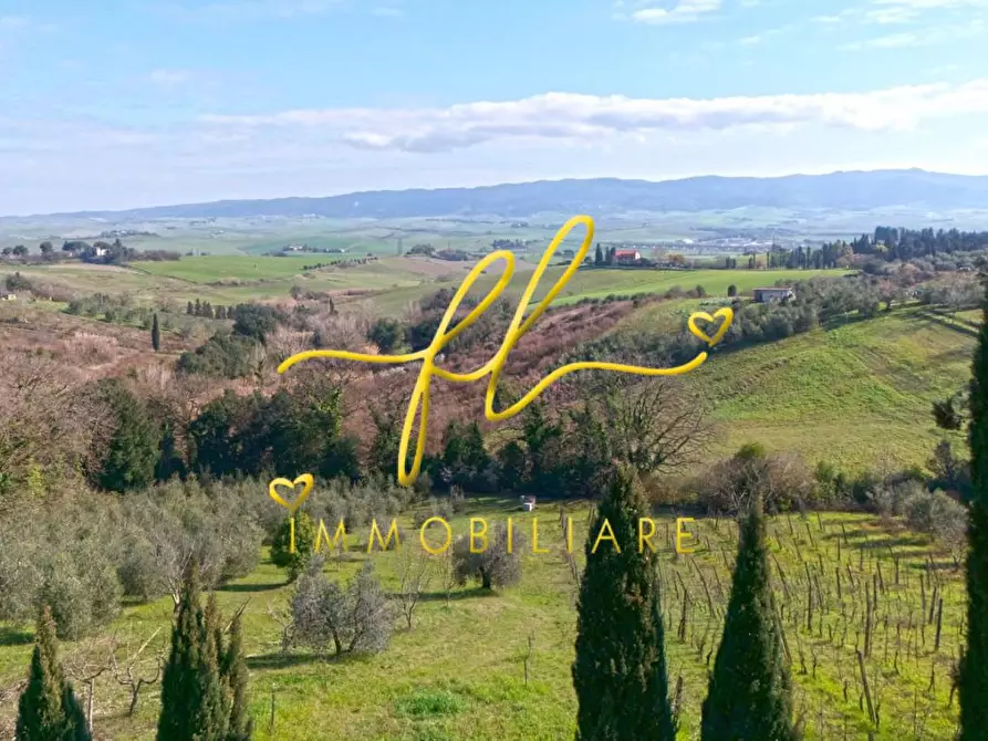 Immagine 39 di Casa colonica in vendita  a Rosignano Marittimo