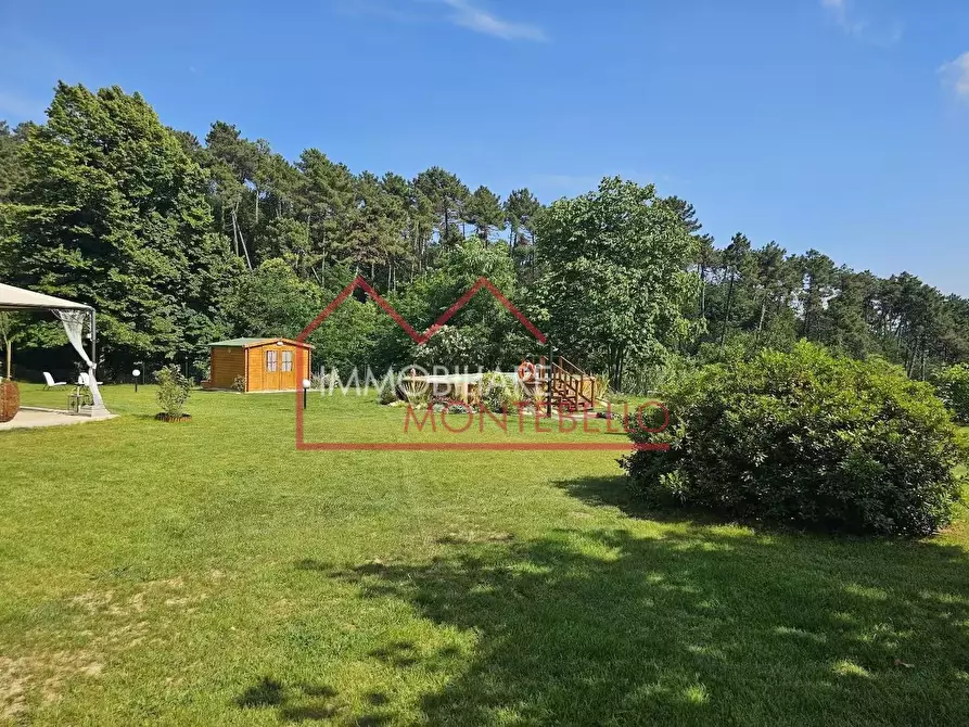 Immagine 19 di Villa in vendita  a Camaiore