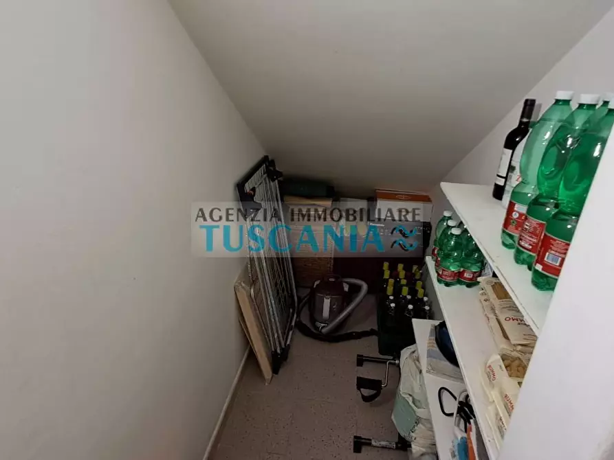 Immagine 11 di Appartamento in vendita  a Cecina