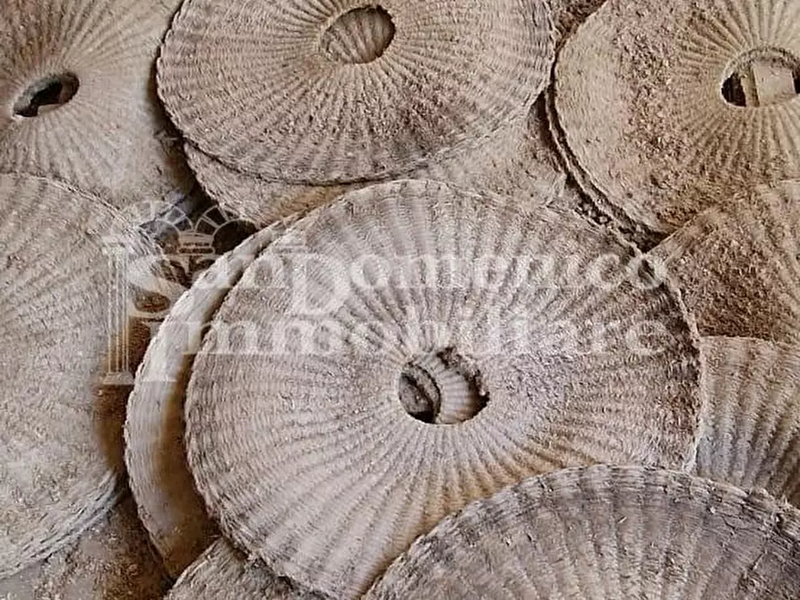 Immagine 30 di Rustico / casale in vendita  a Calci