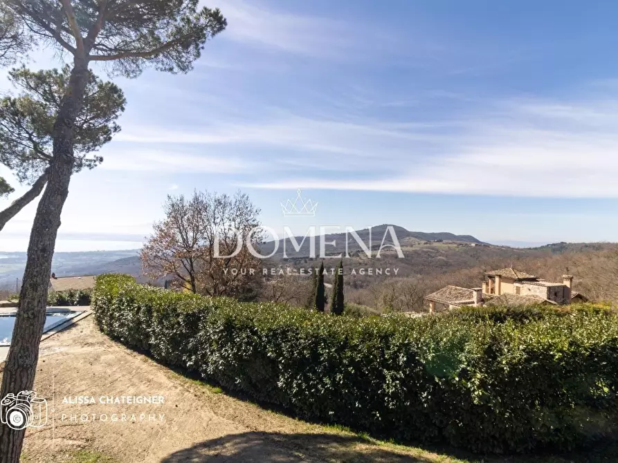 Immagine 6 di Villa in vendita  a Tuoro Sul Trasimeno