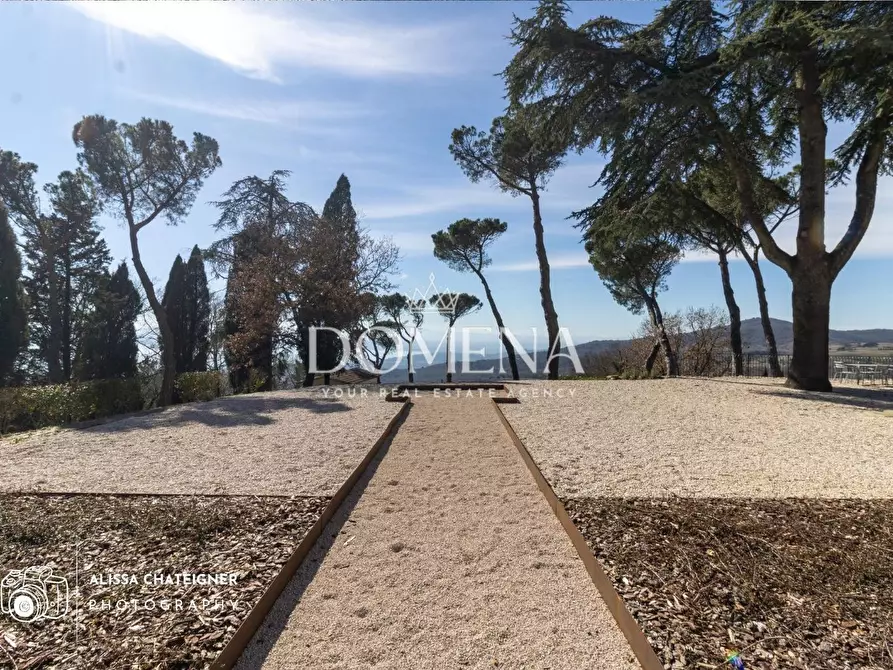 Immagine 4 di Villa in vendita  a Tuoro Sul Trasimeno