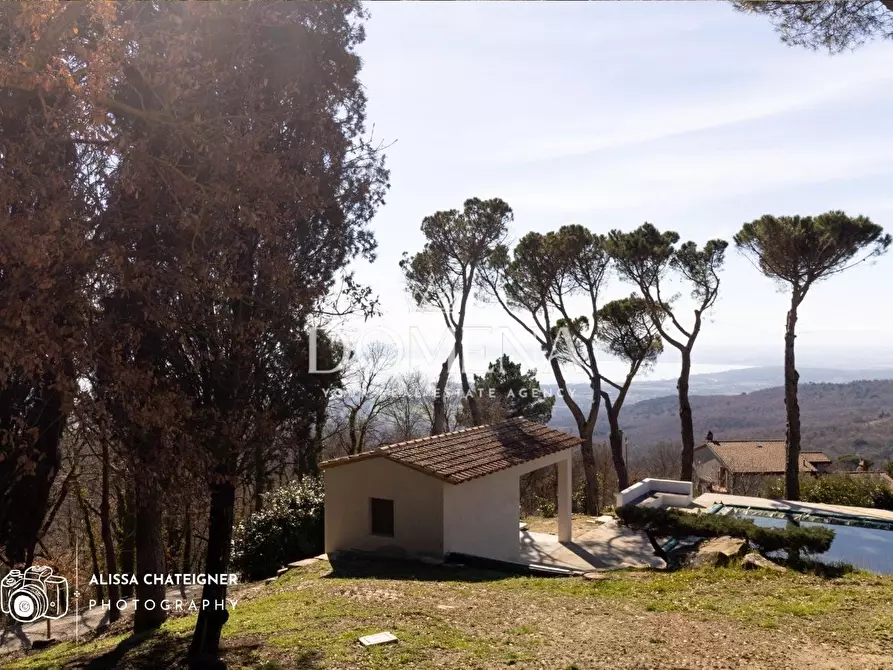 Immagine 26 di Villa in vendita  a Tuoro Sul Trasimeno